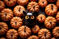 Pattern of orange pumpkins and one black cat figurine. Holiday Halloween Card Royalty Free Stock Photo