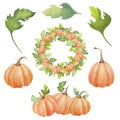 Pattern with orange pumpkins, a wreath of pumpkins.