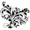 1703 pattern, pattern in classic style, isolate on a white background, baroque ornament
