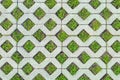 Pattern with paving stones from an original shape tile in the form of a grid on a covered park path and green grass between tiles Royalty Free Stock Photo