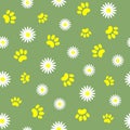 Summer seamless pattern with pet paw prints. Royalty Free Stock Photo