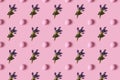 Pattern of pink Easter eggs and spring flovers over pink background Royalty Free Stock Photo