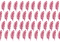 Pattern of pink feathers on a white background. Royalty Free Stock Photo