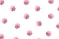 Pattern with pink flower buds, branches and leaves isolated on w