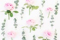 Pattern of pink flowers and eucalyptus branches on white background. Flat lay, top view. Valentine`s background Royalty Free Stock Photo