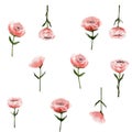 pattern pink flowers, poppies, roses, delicate of detailed watercolor