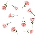 pattern pink flowers, poppies, roses, delicate of detailed watercolor