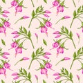 Pattern with pink fuchsia flowers