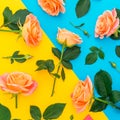 Pattern with pink and orange roses, buds and green leaves on yellow and blue background. Flat lay, top view. Spring background Royalty Free Stock Photo