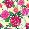 Pattern with pink,red roses on a light Royalty Free Stock Photo