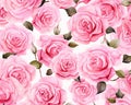 The pattern from pink rose is called the Rosebush.