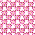 Pattern pink rose hips. Roses seamless pattern. Watercolor.