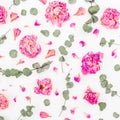 Pattern of pink roses and eucalyptus branches isolated on white background. Flat lay, top view. Flowers background Royalty Free Stock Photo