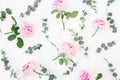 Pattern of pink roses flowers and eucalyptus on white background. Flat lay Royalty Free Stock Photo