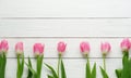 Pattern of pink tulips Royalty Free Stock Photo