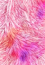 Pattern of pink violet feathers, leaves, twigs. Art background, design element