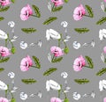 Pattern of pink wild poppy flowers on a gray background. Drawn by hand. Spring, summer. Poppy leaf, flowering, poppy bud. Design