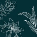 Pattern plants and herbs isolated icon