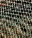 A pattern of plastic mesh for garden plants as a textural background. Stretched green-white polyethylene mesh with a small cel