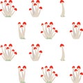 Pattern of poisonous mushrooms vector simple background isolated on white background. Coloured hand drawn version