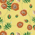 Pattern Poppies flowers.Vector illustration.