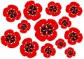 Pattern of poppy flowers on a white background.