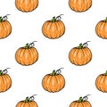 Pattern pumpkin - squash for Halloween or Thanksgiving flat color icon for apps and websites