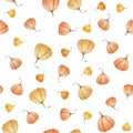 Pattern with pumpkins on a white background.