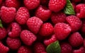 A pattern of raspberries, Generative Ai Royalty Free Stock Photo