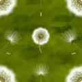 The pattern with a realistic dandelion on green painted in watercolor and pastel.Seamless.Dandelion seeds blown away by
