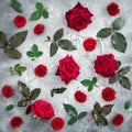 Pattern of red roses and chrysanthemums with leaves on dark background. Flat lay, top view. Royalty Free Stock Photo