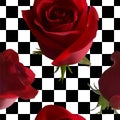 A pattern with red roses with green leaves against a black-and-white cell Royalty Free Stock Photo