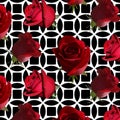 A pattern with red roses with green leaves on the background Royalty Free Stock Photo