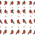 Pattern Red Xmas bird. Bullfinch illustration.