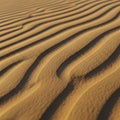 The pattern is rhythmic and consistent typical of windswept desert Royalty Free Stock Photo
