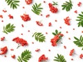 Pattern of ripe rowan berries or red mountain ash and green leaves isolated on white Royalty Free Stock Photo