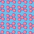 Pattern with roses on a light blue background Royalty Free Stock Photo