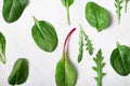 Pattern of salad mix leaves, arugula, spinach, chard on a gray background Royalty Free Stock Photo