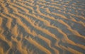 Pattern of sand dunes of Empty Quarter desert