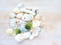 Pattern of sea shells and corals on a light background Royalty Free Stock Photo