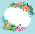 Summer tropical isolated frame decoration with peacock, palm leaves and hibiscus flowers. Royalty Free Stock Photo