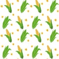 Pattern seamless hand drawn yellow corn cobs with green leaves, grains on white background. Royalty Free Stock Photo