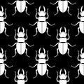 Pattern seamless. Insect background. Beetle ornament.