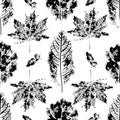 Pattern seamless monotype leaf plant. Botanical stamp print,