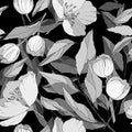 1052 pattern, seamless pattern, flowers of sakura in gray colors, ornament for wallpaper and fabric Royalty Free Stock Photo