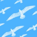 Pattern seamless texture white seagull in the sky blue