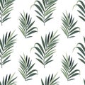 1445 pattern, seamless pattern with tropical green leaves, ornament for wallpaper and fabric, background for scrapbooking, wrappin