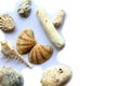 Pattern of sea shells and corals on a light background Royalty Free Stock Photo
