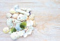 Pattern of sea shells and corals on a light background Royalty Free Stock Photo
