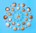 Pattern of seashells, starfish, and blue glass beads on a light blue background Royalty Free Stock Photo